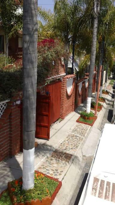 Amazingly Romantic Vacation For Your Honeymoon Tijuana Bagian luar foto
