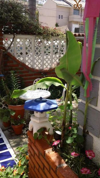 Amazingly Romantic Vacation For Your Honeymoon Tijuana Bagian luar foto